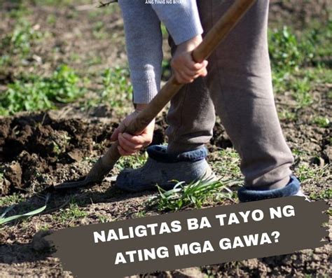 pinabulaanan in english meaning|pabulaanan in English .